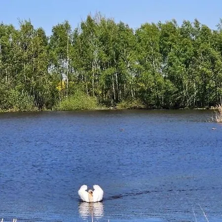U Rybnika Smrcna 3* Nová Bystřice