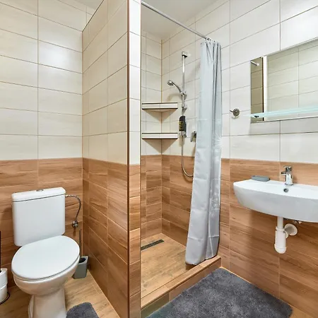 U Rybnika Smrcna Guest house