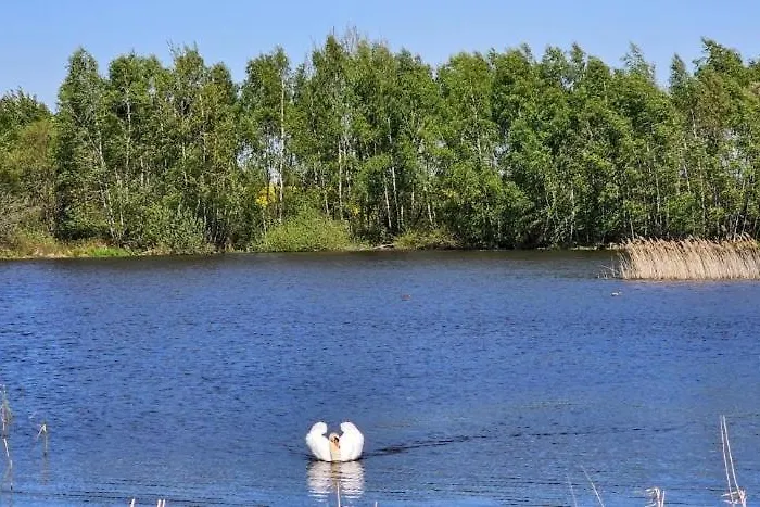 U Rybnika Smrcna 3* Nová Bystřice