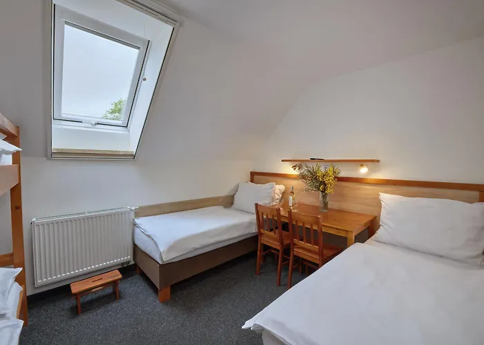 U Rybnika Smrcna 3* Nová Bystřice