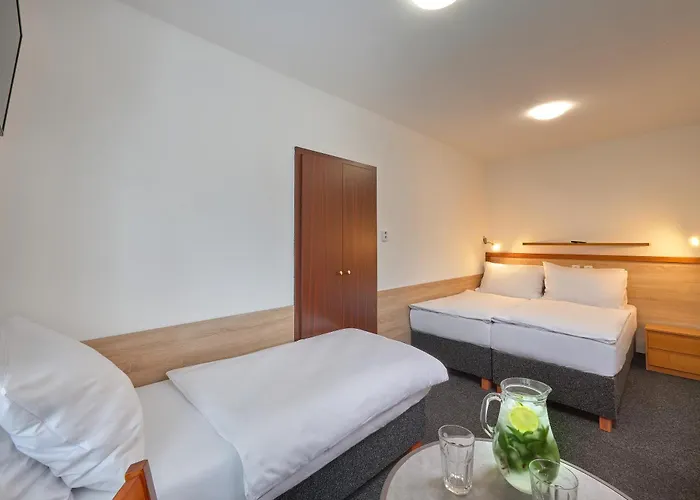 Maison d'hôtes U Rybnika Smrcna 3*